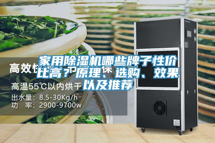 家用除濕機(jī)哪些牌子性價比高？原理、選購、效果以及推薦