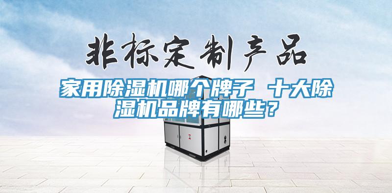 家用除濕機哪個牌子 十大除濕機品牌有哪些？