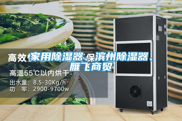 家用除濕器、濱州除濕器、雁飛商貿