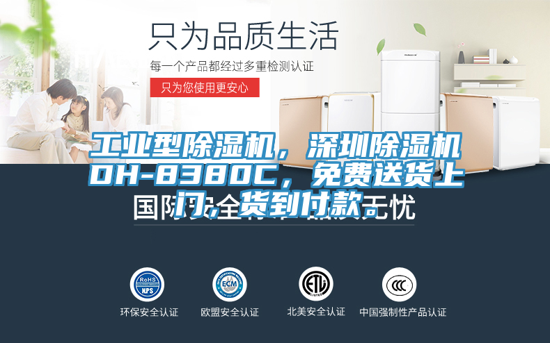 工業(yè)型除濕機(jī)，深圳除濕機(jī)DH-8380C，免費(fèi)送貨上門，貨到付款。