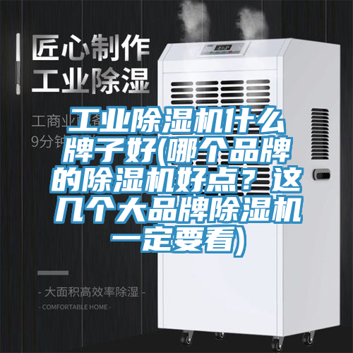 工業(yè)除濕機什么牌子好(哪個品牌的除濕機好點？這幾個大品牌除濕機一定要看)