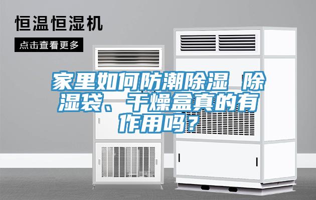 家里如何防潮除濕 除濕袋、干燥盒真的有作用嗎？