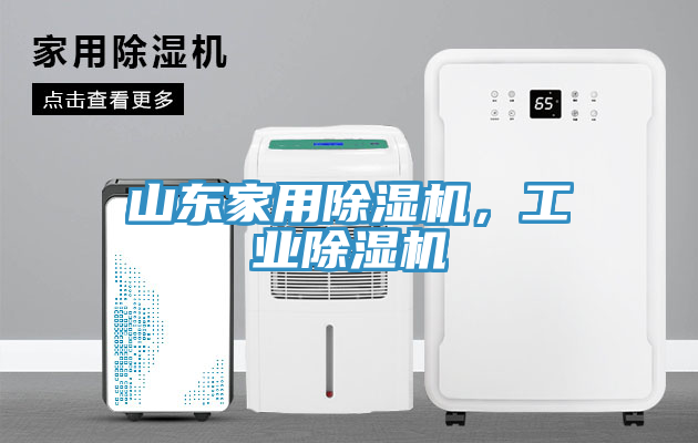 山東家用除濕機，工業(yè)除濕機
