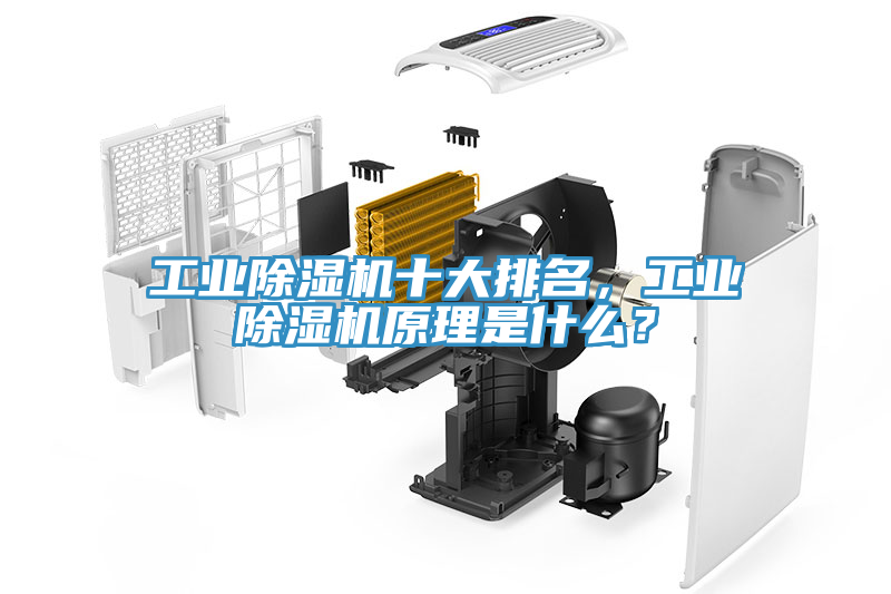 工業(yè)除濕機十大排名，工業(yè)除濕機原理是什么？