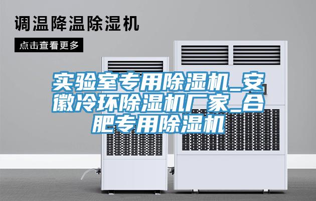實(shí)驗室專用除濕機(jī)_安徽冷環(huán)除濕機(jī)廠家_合肥專用除濕機(jī)