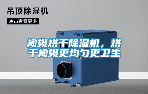 橄欖烘干除濕機(jī)，烘干橄欖更均勻更衛(wèi)生