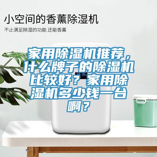 家用除濕機(jī)推薦，什么牌子的除濕機(jī)比較好？家用除濕機(jī)多少錢一臺(tái)??？
