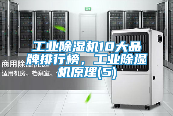 工業(yè)除濕機(jī)10大品牌排行榜，工業(yè)除濕機(jī)原理(5)