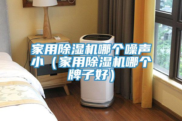 家用除濕機(jī)哪個(gè)噪聲?。矣贸凉駲C(jī)哪個(gè)牌子好）