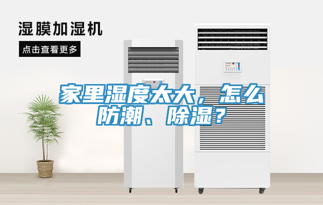 家里濕度太大，怎么防潮、除濕？