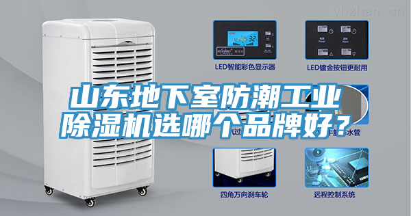 山東地下室防潮工業(yè)除濕機(jī)選哪個品牌好？