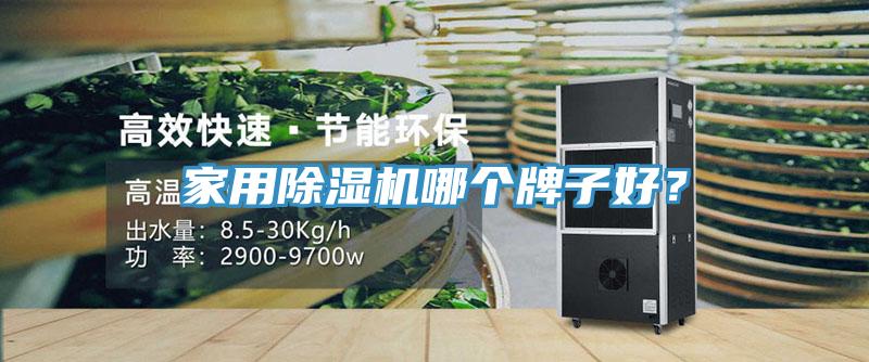 家用除濕機(jī)哪個(gè)牌子好？