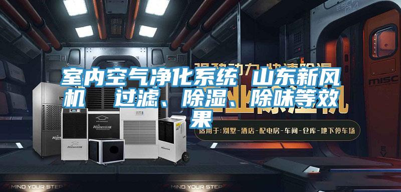 室內(nèi)空氣凈化系統(tǒng) 山東新風(fēng)機(jī)  過(guò)濾、除濕、除味等效果