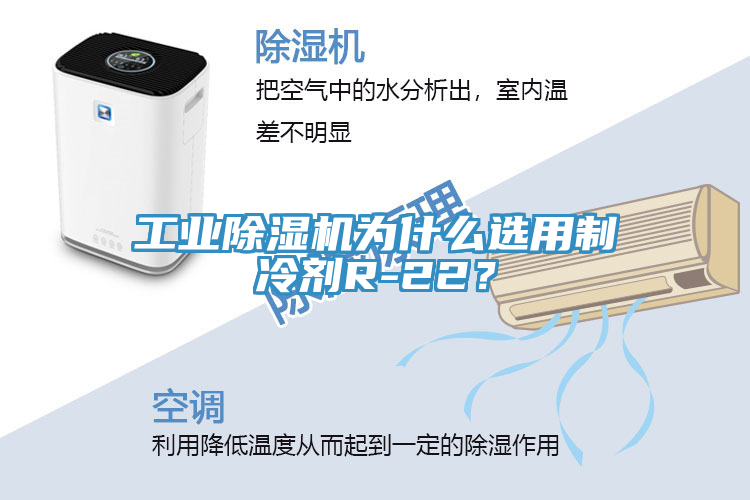 工業(yè)除濕機為什么選用制冷劑R-22？