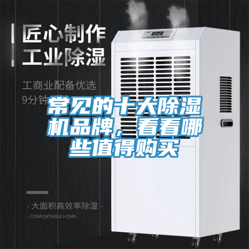 常見的十大除濕機(jī)品牌，看看哪些值得購買