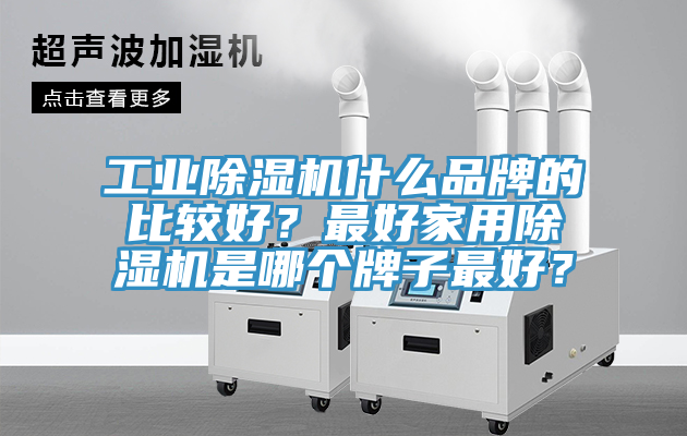 工業(yè)除濕機什么品牌的比較好？最好家用除濕機是哪個牌子最好？