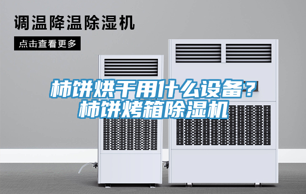 柿餅烘干用什么設(shè)備？柿餅烤箱除濕機(jī)