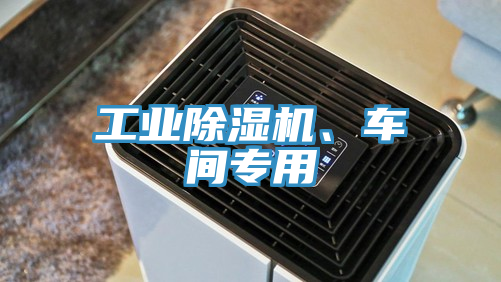 工業(yè)除濕機、車間專用