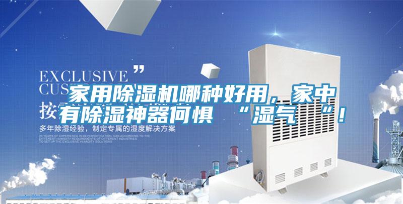 家用除濕機哪種好用，家中有除濕神器何懼 “濕氣 “！