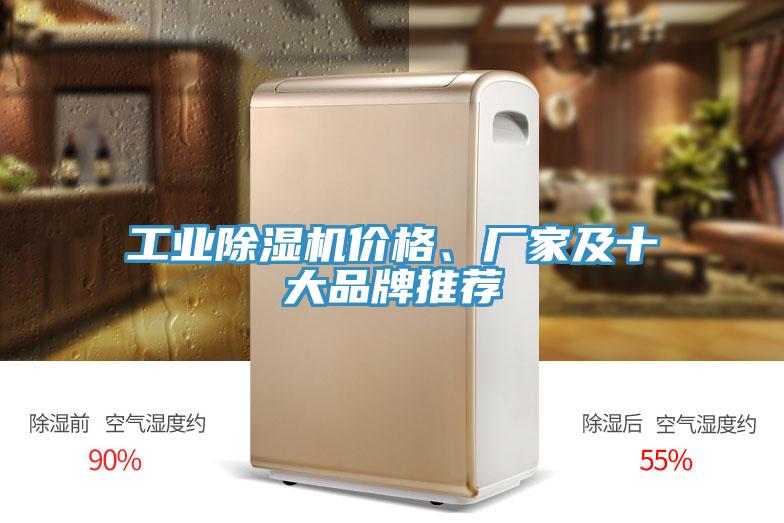 工業(yè)除濕機(jī)價(jià)格、廠家及十大品牌推薦