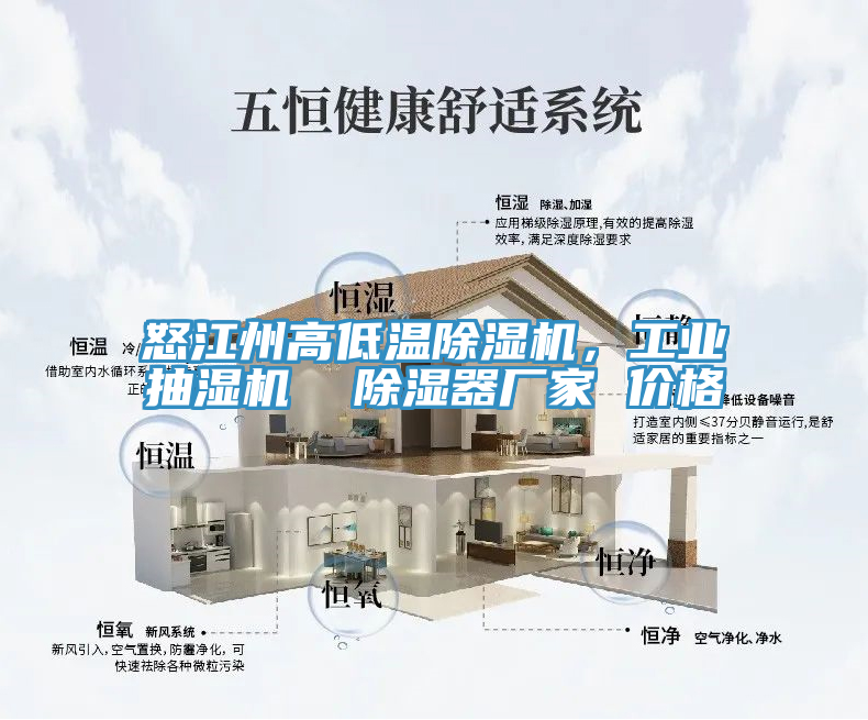 怒江州高低溫除濕機(jī)，工業(yè)抽濕機(jī)  除濕器廠家 價(jià)格
