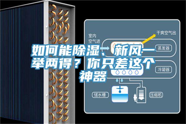 如何能除濕、新風(fēng)一舉兩得？你只差這個神器