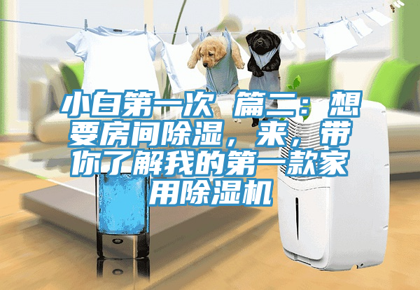 小白第一次 篇二：想要房間除濕，來，帶你了解我的第一款家用除濕機(jī)