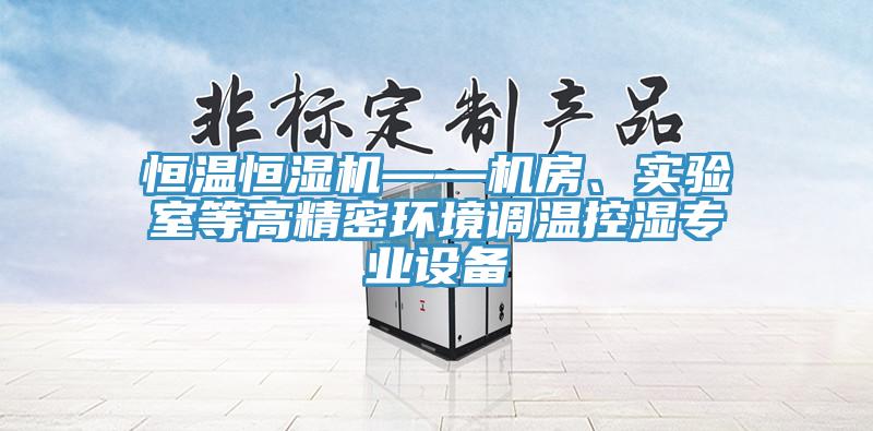 恒溫恒濕機(jī)——機(jī)房、實(shí)驗(yàn)室等高精密環(huán)境調(diào)溫控濕專(zhuān)業(yè)設(shè)備