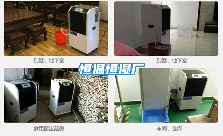 恒溫恒濕廠(chǎng)