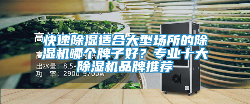 快速除濕適合大型場所的除濕機哪個牌子好？專業(yè)十大除濕機品牌推薦