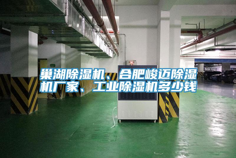 巢湖除濕機(jī)、合肥峻邁除濕機(jī)廠(chǎng)家、工業(yè)除濕機(jī)多少錢(qián)