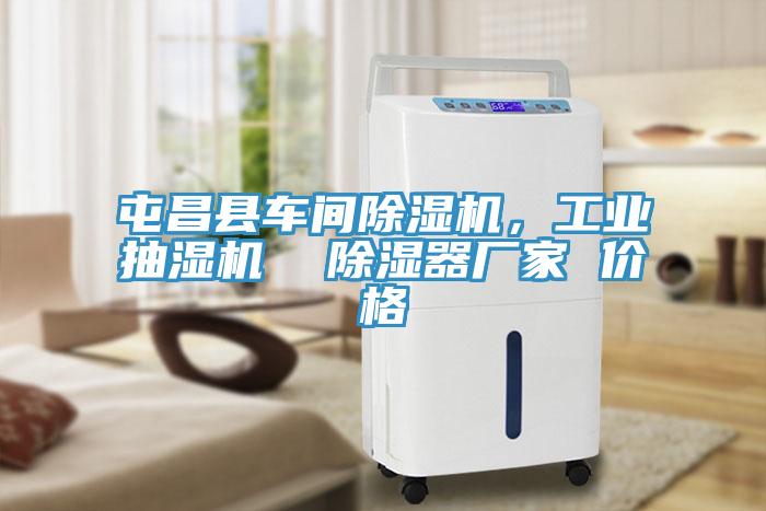 屯昌縣車間除濕機(jī)，工業(yè)抽濕機(jī)  除濕器廠家 價(jià)格