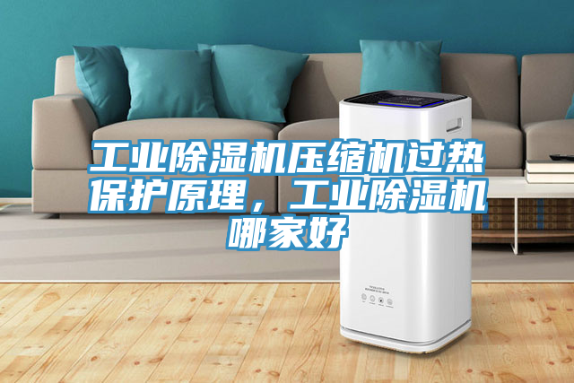 工業(yè)除濕機(jī)壓縮機(jī)過熱保護(hù)原理，工業(yè)除濕機(jī)哪家好