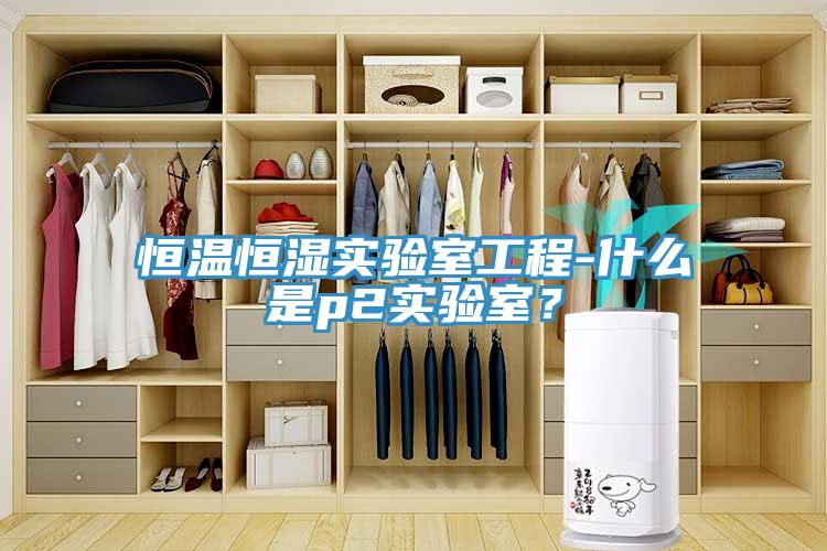 恒溫恒濕實(shí)驗(yàn)室工程-什么是p2實(shí)驗(yàn)室？