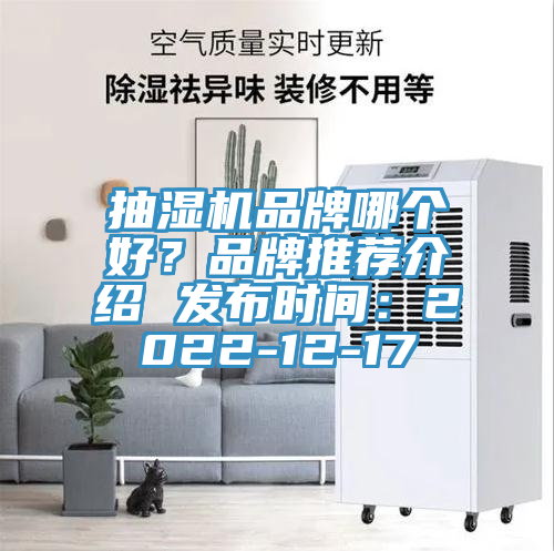 抽濕機品牌哪個好？品牌推薦介紹 發(fā)布時間：2022-12-17