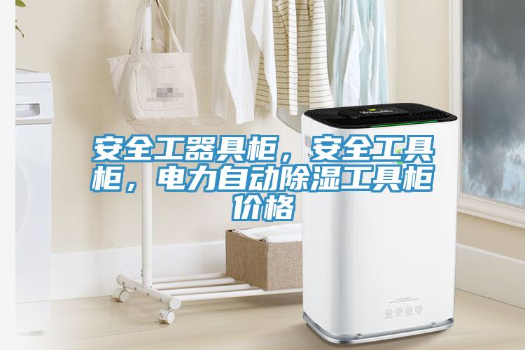 安全工器具柜，安全工具柜，電力自動除濕工具柜價格