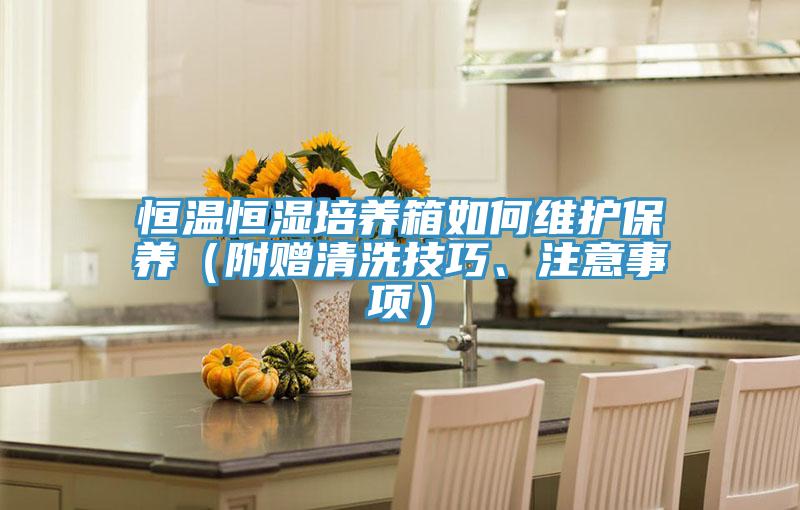 恒溫恒濕培養(yǎng)箱如何維護(hù)保養(yǎng)（附贈(zèng)清洗技巧、注意事項(xiàng)）
