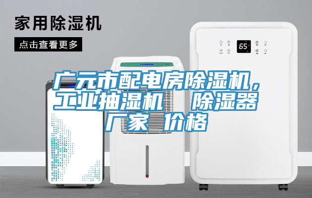 廣元市配電房除濕機(jī)，工業(yè)抽濕機(jī)  除濕器廠家 價格