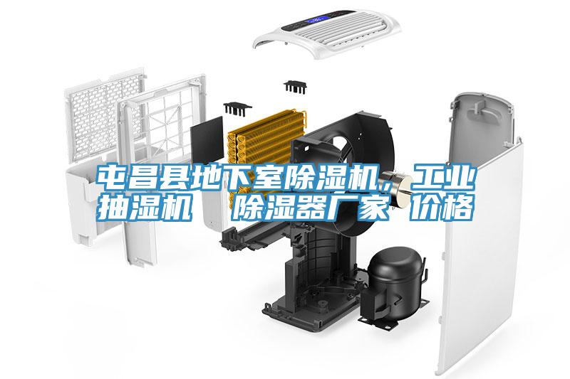 屯昌縣地下室除濕機(jī)，工業(yè)抽濕機(jī)  除濕器廠家 價(jià)格