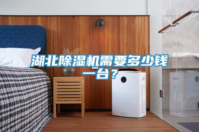 湖北除濕機(jī)需要多少錢一臺(tái)？