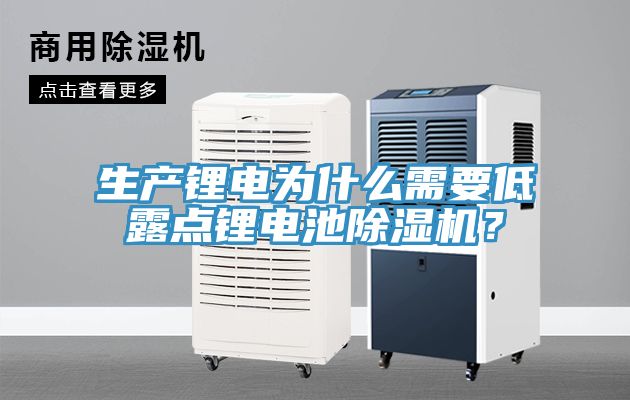 生產(chǎn)鋰電為什么需要低露點(diǎn)鋰電池除濕機(jī)？