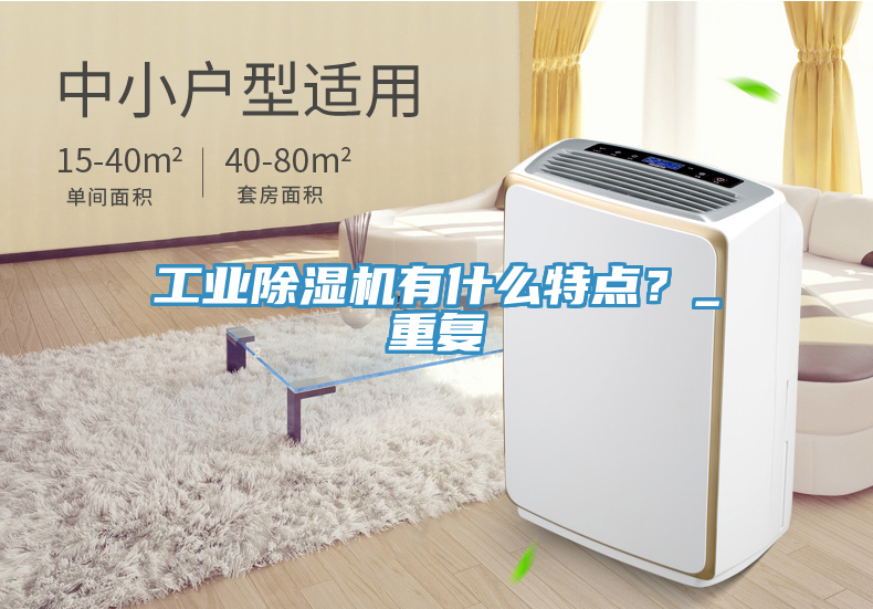 工業(yè)除濕機有什么特點？_重復(fù)