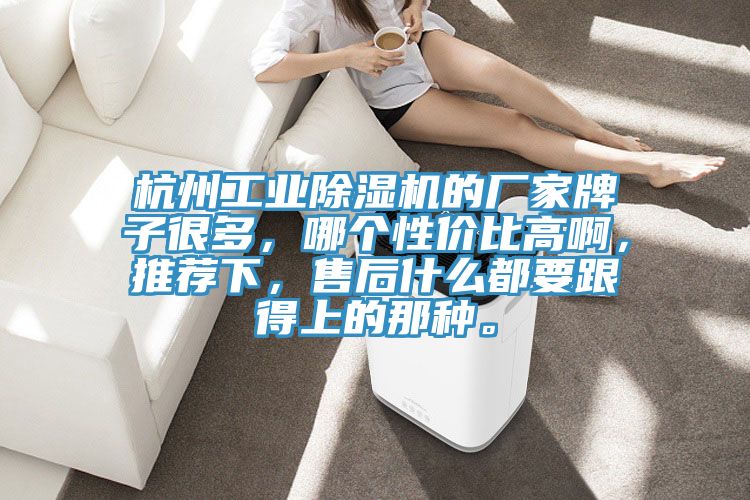 杭州工業(yè)除濕機(jī)的廠家牌子很多，哪個(gè)性價(jià)比高啊，推薦下，售后什么都要跟得上的那種。