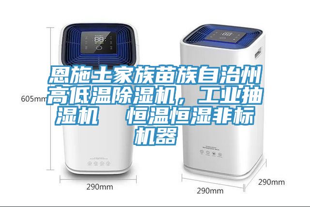 恩施土家族苗族自治州高低溫除濕機(jī)，工業(yè)抽濕機(jī)  恒溫恒濕非標(biāo)機(jī)器