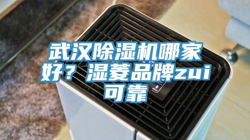 武漢除濕機(jī)哪家好？濕菱品牌zui可靠