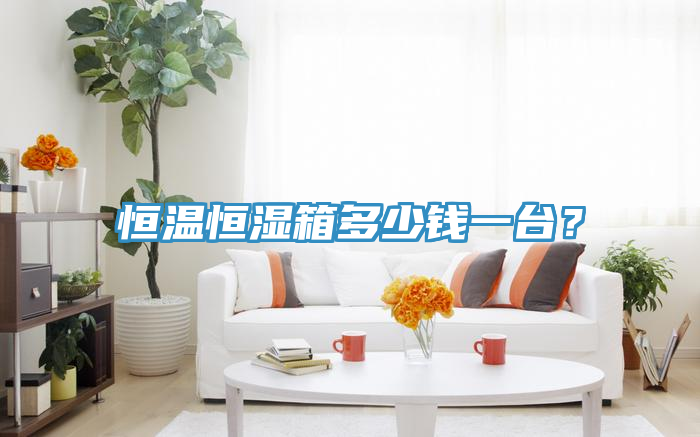 恒溫恒濕箱多少錢一臺？