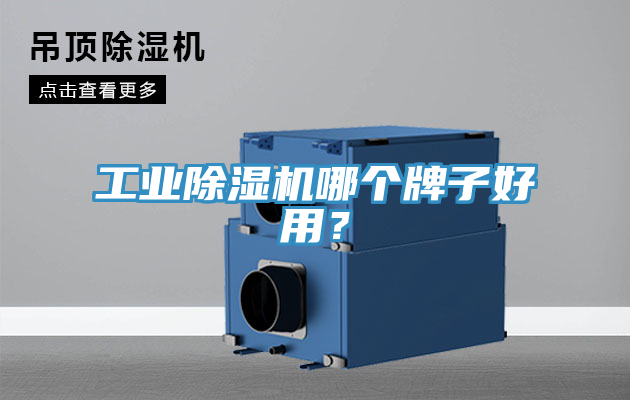 工業(yè)除濕機(jī)哪個(gè)牌子好用？