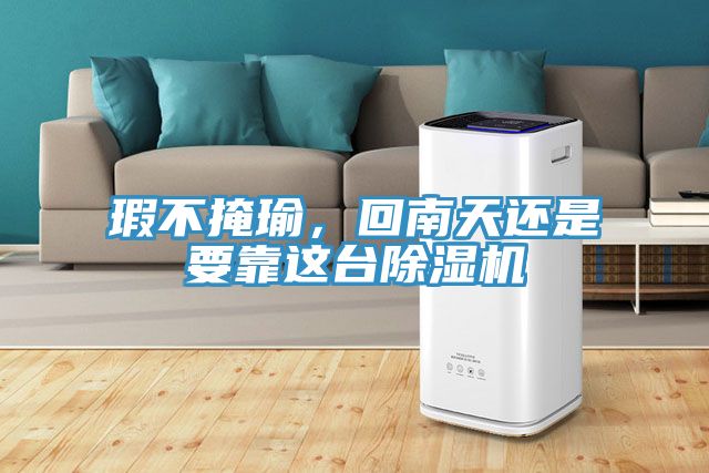 瑕不掩瑜，回南天還是要靠這臺除濕機