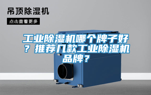 工業(yè)除濕機(jī)哪個(gè)牌子好？推薦幾款工業(yè)除濕機(jī)品牌？