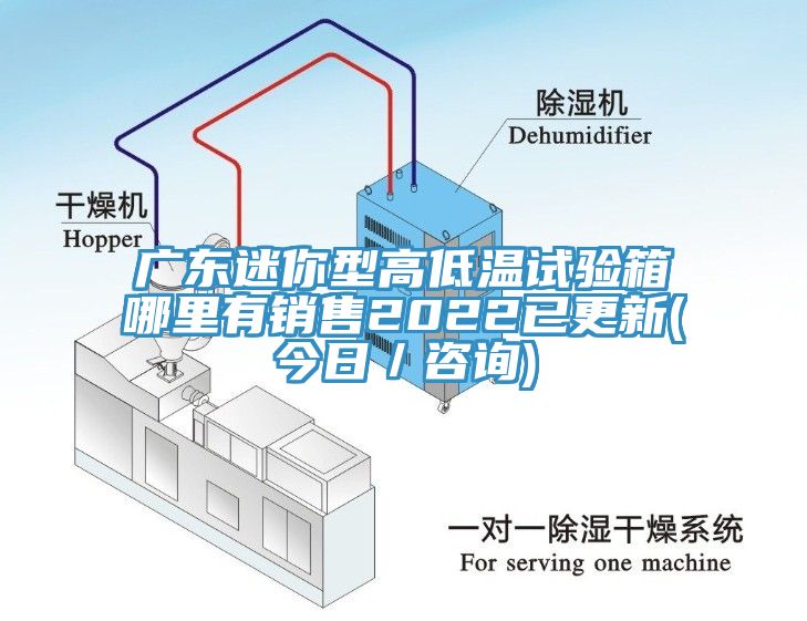 廣東迷你型高低溫試驗(yàn)箱哪里有銷(xiāo)售2022已更新(今日／咨詢)
